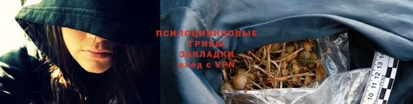 сатива Алексин