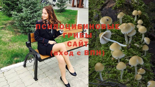 сатива Алексин