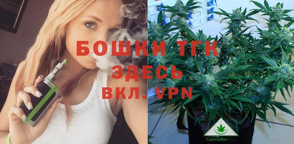 сатива Алексин