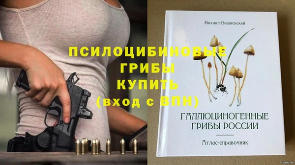 сатива Алексин