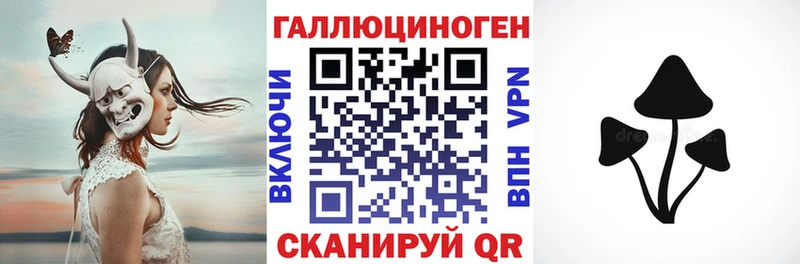 Псилоцибиновые грибы Cubensis где купить наркоту Королёв